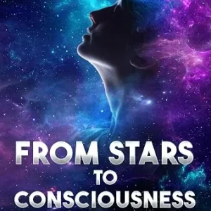 From Stars To Consciousness: An Objective View Of Human Life Experience